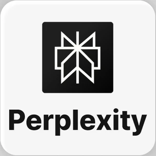 Perplexity